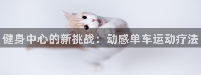 龙八国际服官网入口