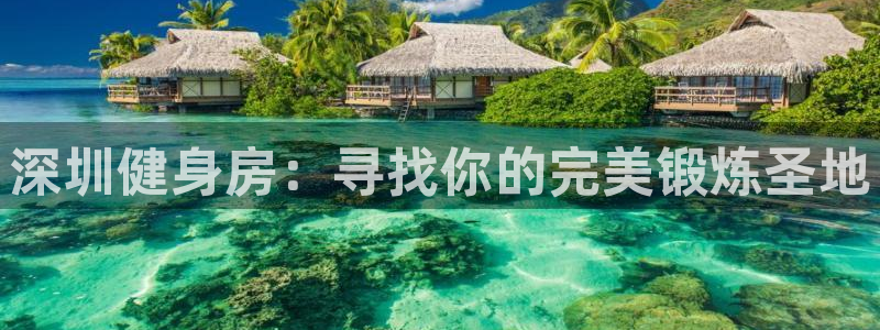 龙8国际是不是黑网