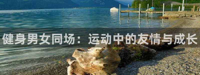 龙八国际下载官网平台