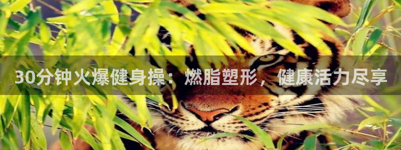 龙8国际app客户端下载不了