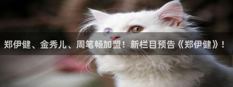 龙8国际手机网页版