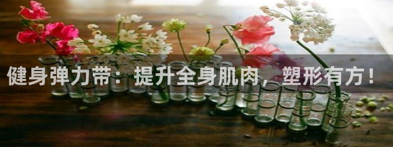 龙8国际官方网页