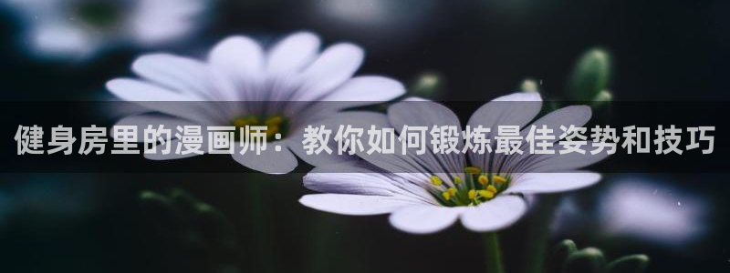龙8国际龙8官方