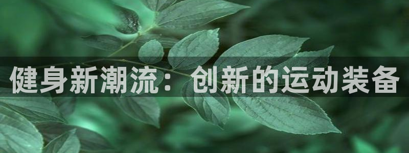 下载龙八国际官网