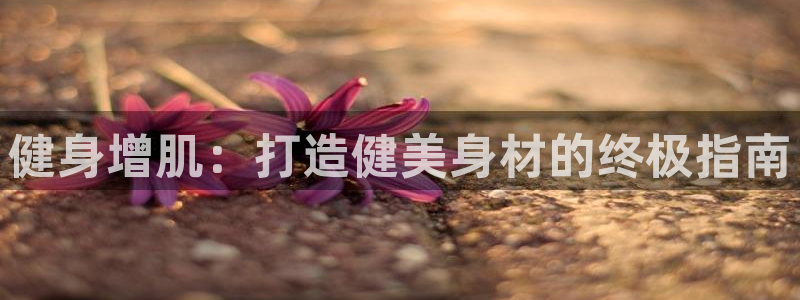 龙8国际手机游戏官网下载
