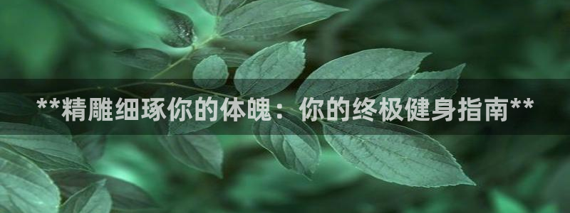 龙8国际是什么平台