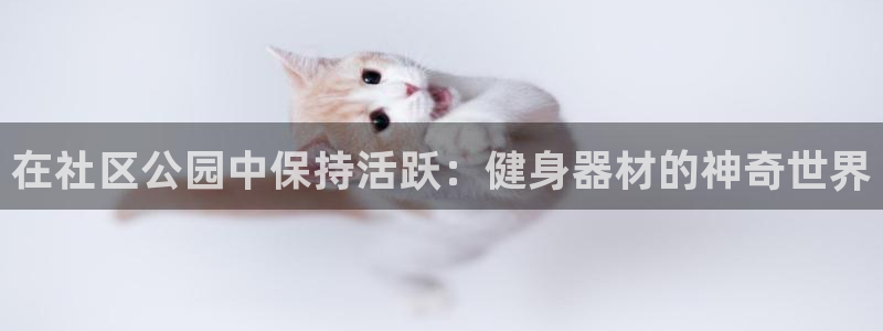 龙8国际免费试玩