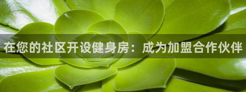 龙8国际版