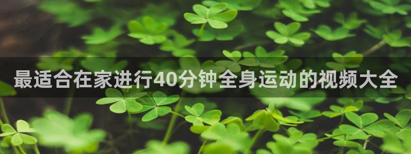 龙8国际娱首页