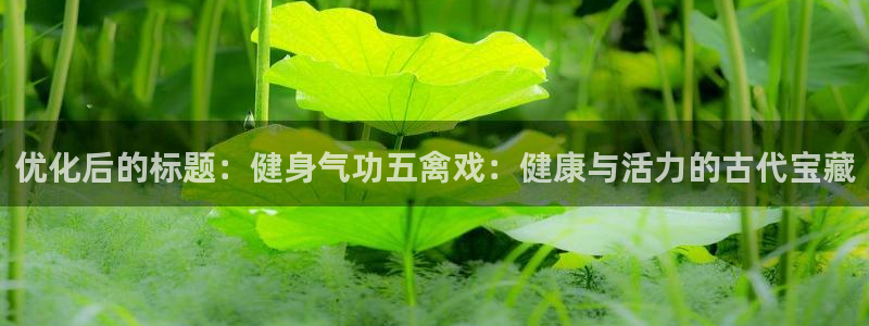 龙八国际城