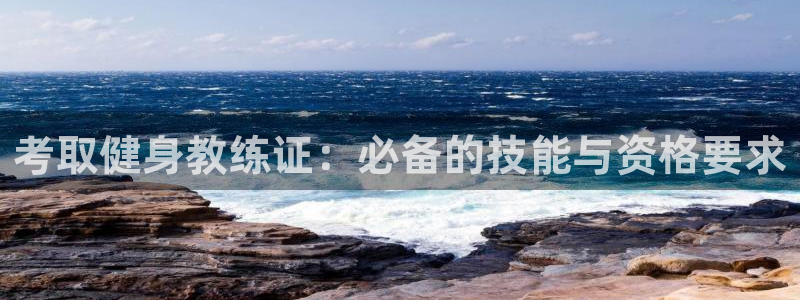 龙8电子游艺网址多少