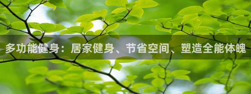 龙8国际官方平台