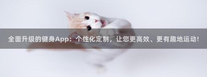 龙8国际电子平台