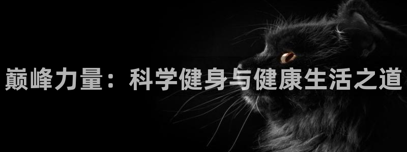 龙8国际官方网站