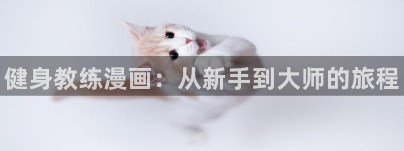 龙8国际手机版官网