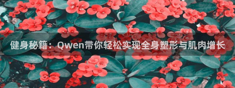 龙八国际服官网入口