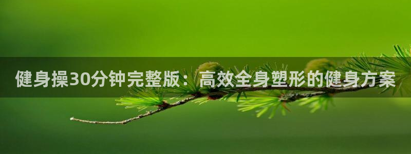 龙八国际官方网