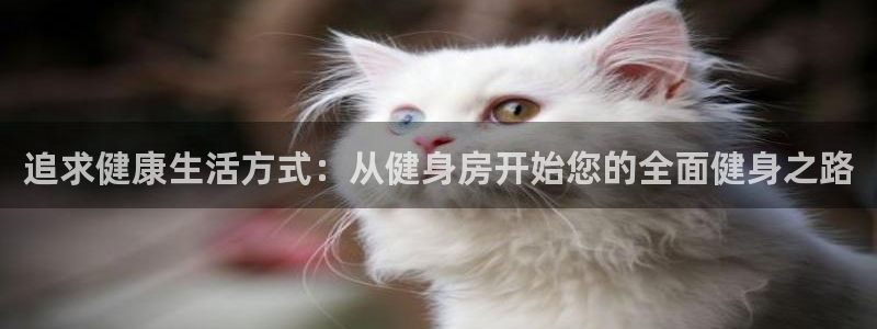 龙8娱乐官方老虎机中国大陆