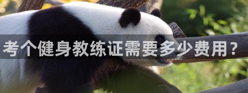 龙8国际官网唯一入口