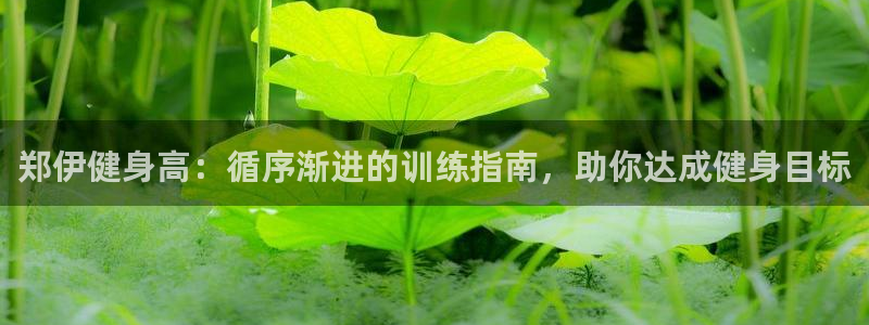 龙八国际娱乐官网下载