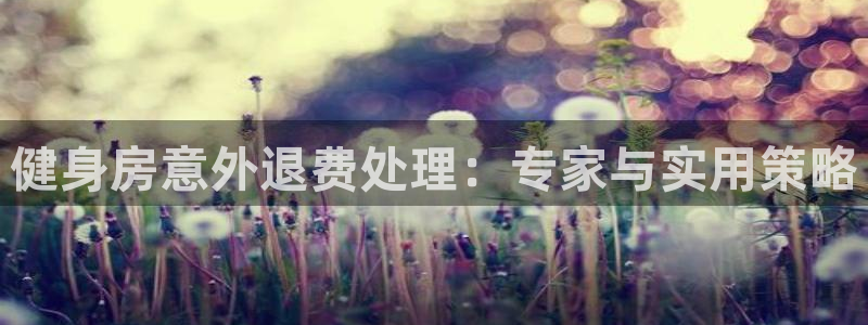 龙8国际老虎机官方