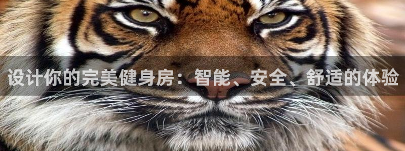 龙8国际手机版app