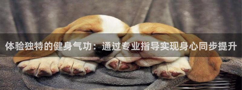 龙8国际官网版最新版下载