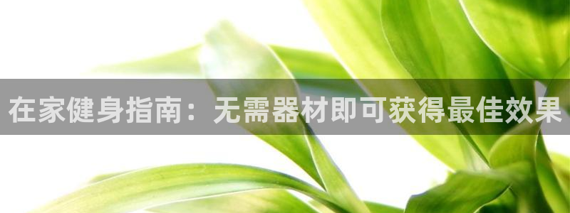 龙8老虎机网络游戏